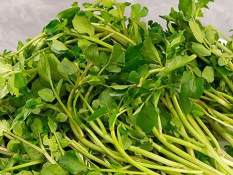 Loại rau rẻ ở chợ Việt được Mỹ công nhận "nữ hoàng rau xanh", giàu canxi hơn sữa, trồng 1 lần ăn quanh năm