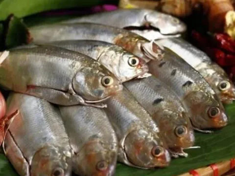 7 loại cá phải mua ngay nếu bắt gặp ở chợ: Dinh dưỡng ngang nhân sâm, rẻ hơn tổ yến, không chứa hóa chất
