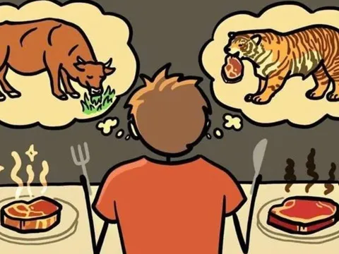 Con người thường ăn động vật ăn cỏ: Vậy nếu ăn động vật ăn thịt thì sao?
