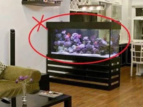 5 vật cấm kỵ tuyệt đối không đặt dưới chân bàn thờ: Phạm phải gia đạo lục đục, tài lộc tiêu tan