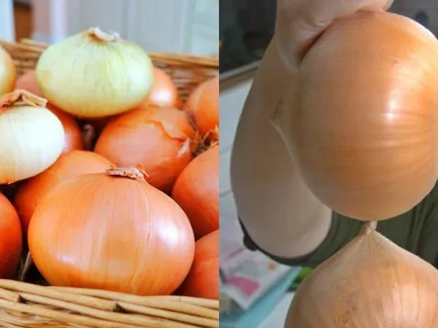 Mẹo bảo quản hành tây nửa năm không hỏng