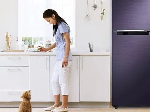 Tuyệt đối đừng để 3 thứ này trên nóc tủ lạnh: Tổ tiên cảnh báo, của cải tiêu tán, gia đạo bất ổn!