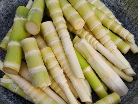 Măng tươi ăn ngon và hấp dẫn nhưng nhớ làm cách này để khử độc tố trong măng