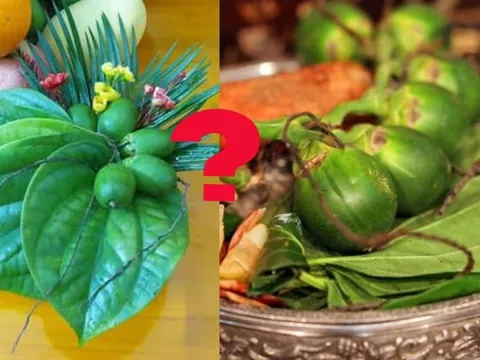Hái bao nhiêu lá trầu, quả cau để thắp hương để Tổ tiên ưng bụng ban Lộc đề huề?