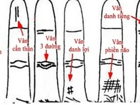 Ngón áp út có 1 trong 5 dấu hiệu này, đàn ông hay đàn bà đều mang số mệnh giàu sang, sung túc