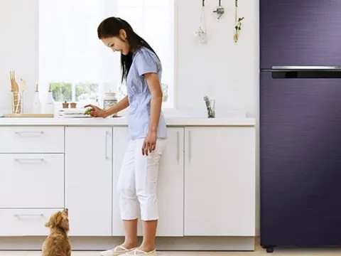 Tổ tiên cảnh báo: Nếu để 3 vật này trên nóc tủ lạnh, tiền tài trong nhà sẽ thất thoát không ngừng!