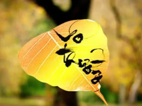 Hiểu Vô thường, bạn sẽ có được 3 điều lợi ích này