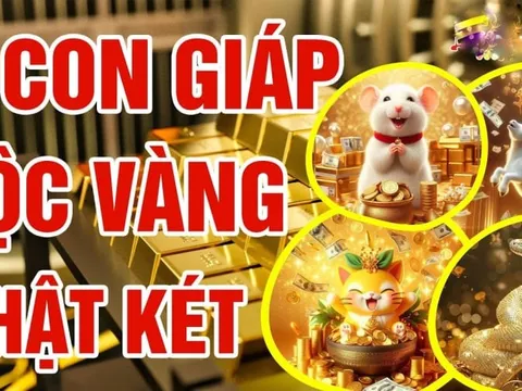 Cóc Vàng Nhả Lộc 49 ngày tới, 4 con giáp có vận số đỏ rực, làm gì cũng ra tiền