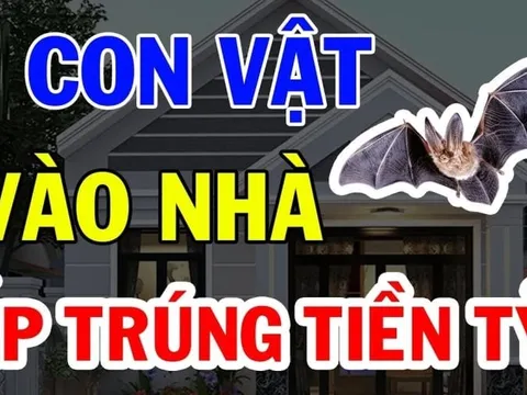 4 con vật Đệ Tử Thần Tài Vào Nhà Trúng Số Phát Tài: Giàu có sau 1 đêm