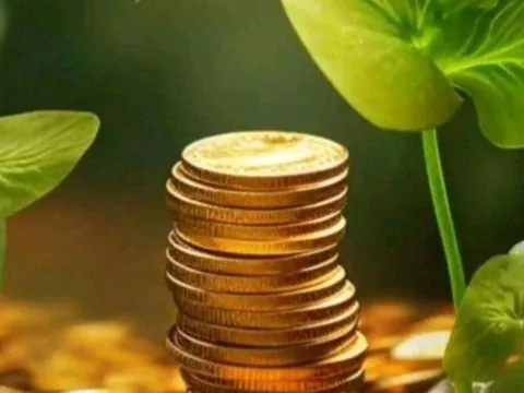 Bạn có phải là người Hấp dẫn tiền bạc không? 3 đặc điểm vàng khiến Giàu có tự tìm tới, bạn có không?