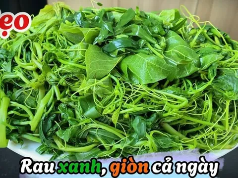 Mẹo luộc rau xanh mướt, chẳng lo mất dinh dưỡng