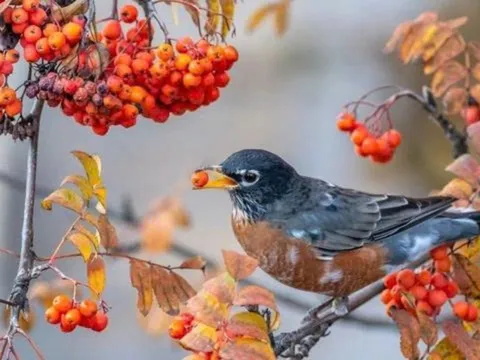Sinh đúng 3 tháng Âm lịch quý hiếm này: Càng đi qua giông bão, càng sống an nhàn phú quý