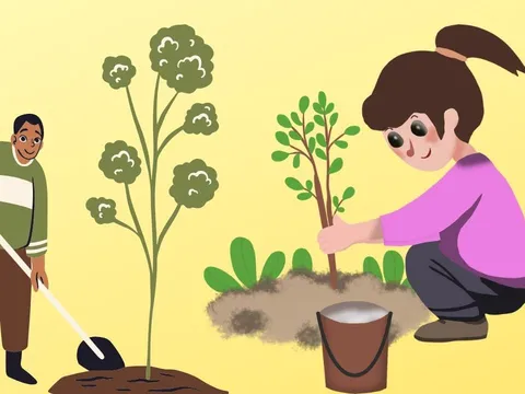 Trồng 5 loại cây ăn quả này trong nhà: Tốt phong thủy, Tăng Sức khỏe,Hoa đẹp quả ngon, trồng ngay kẻo tiếc