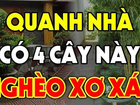 4 cây âm chặn cửa tài lộc