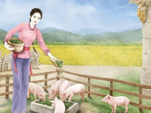Các cụ nói: "Mua lợn xem chuồng, cưới vợ xem sân", ý nghĩa là gì?