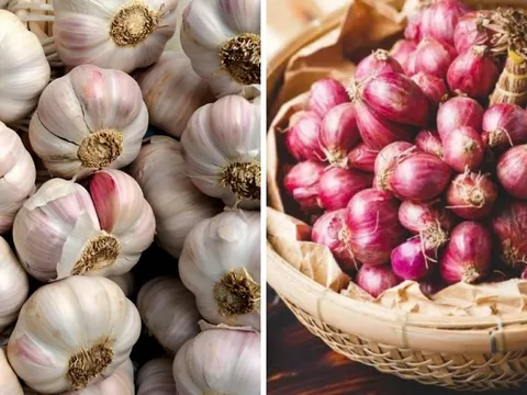 Cách bảo quản hành khô, tỏi khô cả năm không hỏng, không thối hay mọc mầm