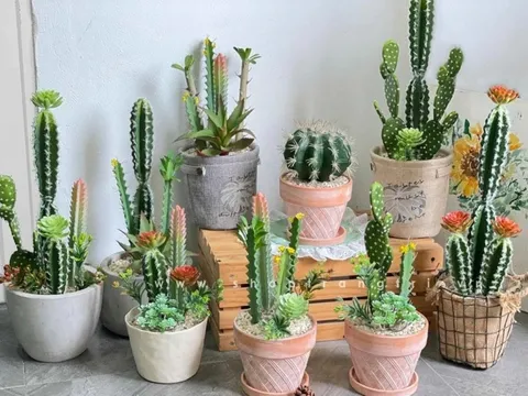 3 đồ vật này đừng bày ở cửa hàng kẻo việc làm ăn buôn bán lụn bại
