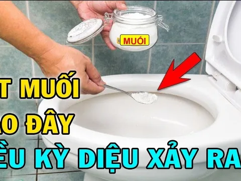 Đổ muối vào bồn cầu: Việc nhỏ nhưng lợi ích lớn, tiết kiệm tiền triệu/tháng