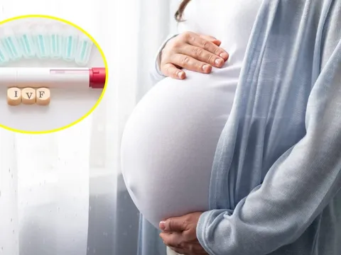Lần đầu tiên tại Việt Nam: Từ 1/10/2025, phụ nữ độc thân có quyền sinh con bằng thụ tinh trong ống nghiệm