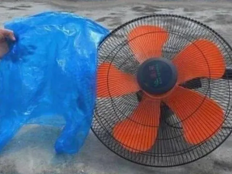 Mẹo dùng túi nilon vệ sinh quạt sạch bong trong 1 phút, không cần tháo khung, ai cũng làm được!
