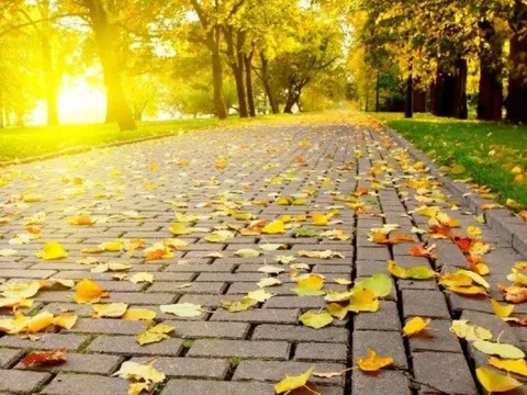 Ngày 7/8 là Lập thu, có phải mùa hè nắng nóng sẽ kết thúc?