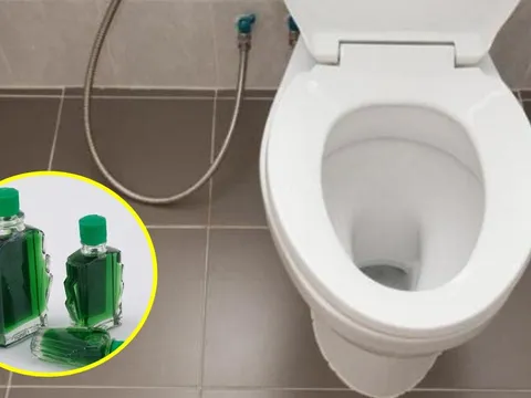 Tại sao nên nhỏ vài giọt dầu gió vào bồn cầu? Có lợi ích tuyệt vời mà nhiều người không biết