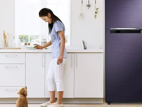 Tuyệt đối tránh để 3 vật này trên nóc tủ lạnh, kẻo của cải trong nhà “đội nón ra đi”