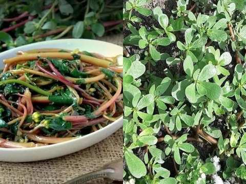 Loại rau mọc dại cho không ai lấy, giờ được săn lùng quý như 'thần dược' của sức khỏe