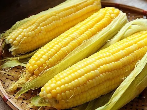Cách luộc ngô ngon ngọt
