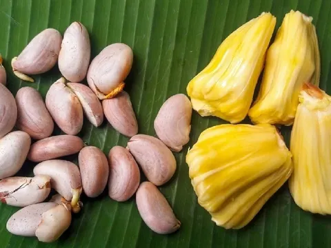 Hạt mít giàu dinh dưỡng: Ăn hạt mít, cơ thể nhận được 3 lợi ích tuyệt vời