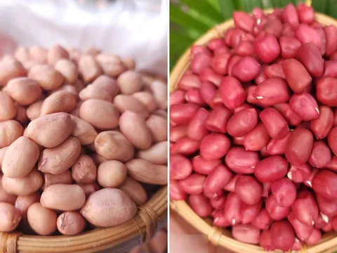 Lạc trắng và lạc đỏ, loại nào ngon hơn?