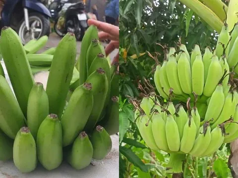 Những lưu ý chọn chuối thắp hương để hợp phong thủy, rước may mắn, tránh xui xẻo