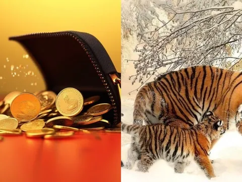 Tiền đẻ ra tiền sau tuổi 40: 3 con giáp trời định hậu vận giàu sang, phúc lộc truyền đời