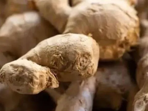 5 loại thực phẩm quen thuộc cực độc khi bị mốc – Mùa hè nhà ai còn giữ thì nên bỏ ngay!
