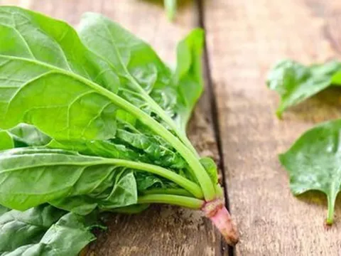 Loại rau "huyền thoại" này, nghe thôi đã thấy khỏe, ăn vào không những khỏe mà còn tốt cho gan, thận