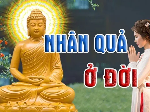 3 dấu hiệu của người đang phải trả nghiệp, Hạn đến - Phúc đi, làm gì cũng khó