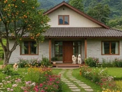 5 Dấu Hiệu phong thủy là điềm báo Thần Tài sắp tới nhà, Gia đình sắp Giàu to