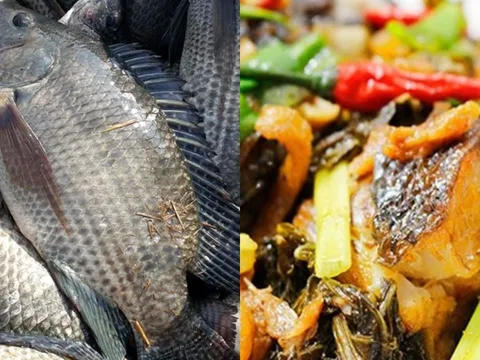 Loại cá vượt mặt cá hồi về protein và giá trị dinh dưỡng: Giá rất rẻ, chợ Việt nào cũng bán