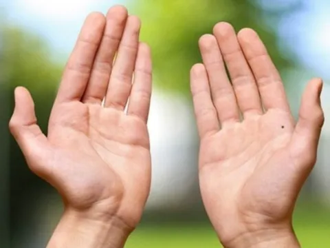 Trên người cứ có 3 chỗ này "To" thì chắc chắn bạn là người giàu sang, phú quý