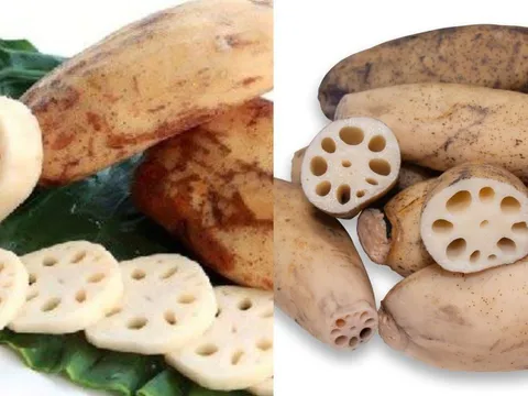 Củ sen 7 lỗ và 9 lỗ khác nhau thế nào?  Rất ít người để ý điều này