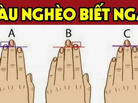 Nhìn tướng tay 3 giây biết tương lai bạn thành Phượng Hoàng giàu có hay nô tì mãi mãi: Chuẩn hơn nhìn mặt