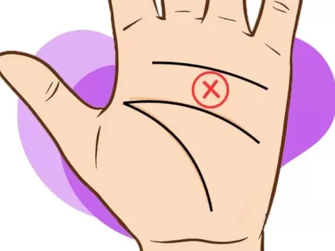 Xem 5 đường chỉ tay cho thấy sự may mắn, giàu sang và công danh sự nghiệp đều tốt