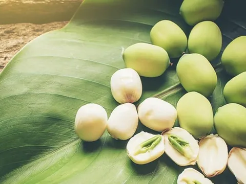 4 loại đồ ăn thức uống có vị đắng này, ăn vào mùa nắng nóng còn tốt hơn uống thuốc bổ