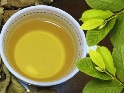 Uống nước lá ổi rất hại với 5 người này: Hãy tránh xa!