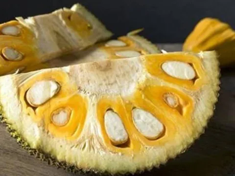 Bộ phận của quả mít được Nhật mua 200.000 đồng/kg vì cực bổ dưỡng, ở Việt Nam lại thường bị bỏ phí
