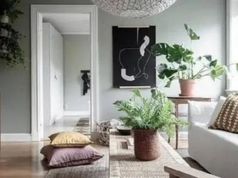Đặt 4 món này trong phòng khách, cuộc sống bạn sẽ suôn sẻ hơn bao giờ hết!