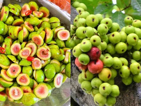 Loại quả mọc đầy vườn mọi người thường bỏ qua hóa ra là 'thần dược': 6 lợi ích lớn nếu ăn mỗi ngày