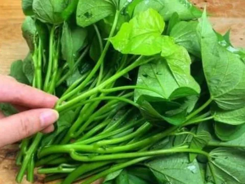Loại “rau từng cho lợn ăn” biến thành siêu thực phẩm, Mỹ thu mua 1 triệu/kg