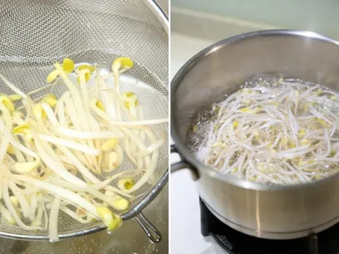 Uống nước giá đỗ luộc, cơ thể nhận được 6 lợi ích tuyệt vời