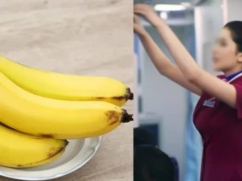 Vì sao tiếp viên hàng không thường mang theo 1 quả chuối trên máy bay? Họ ăn hay để làm gì?